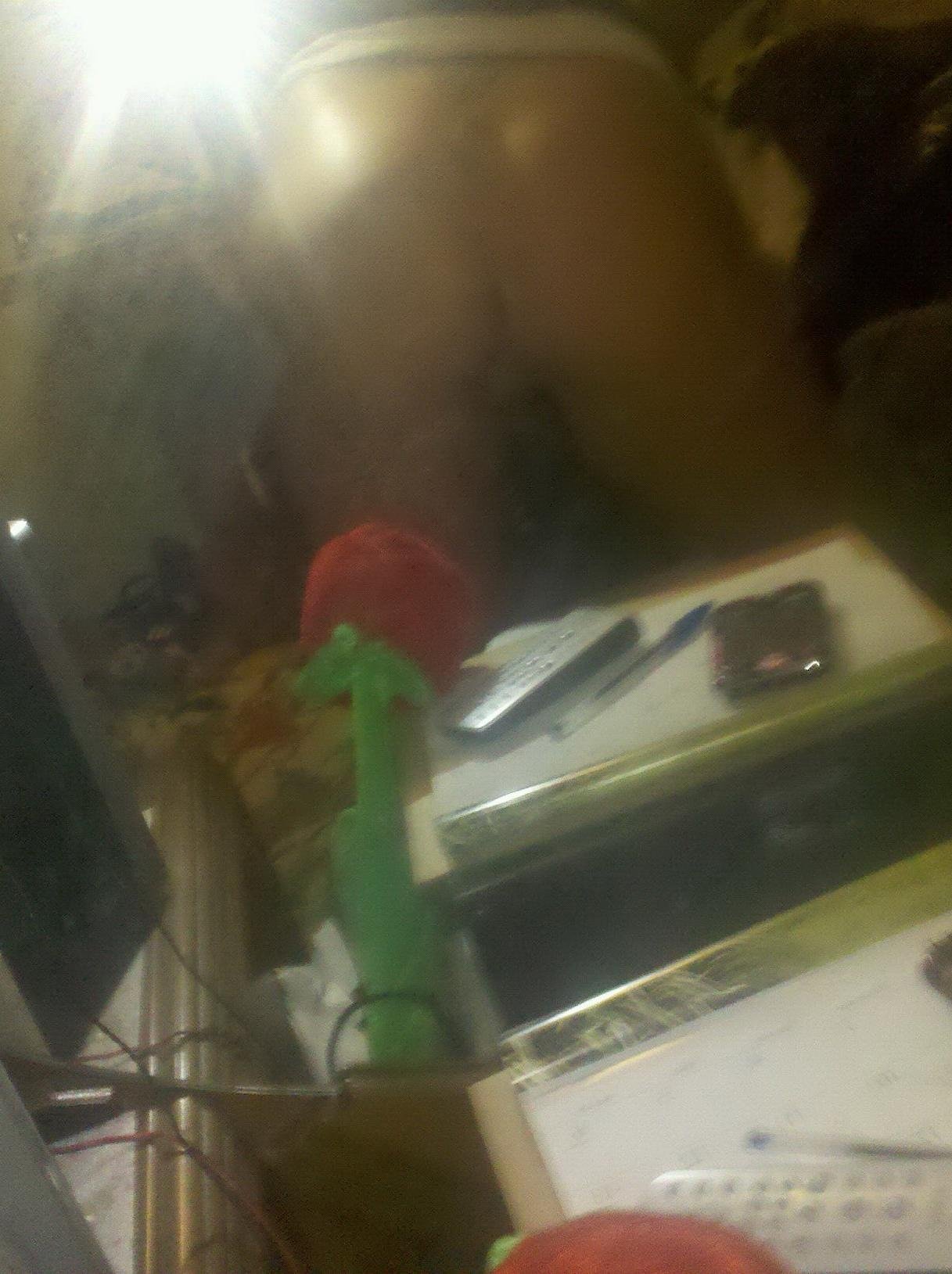 ns-analstute aus Nordrhein-Westfalen,Deutschland